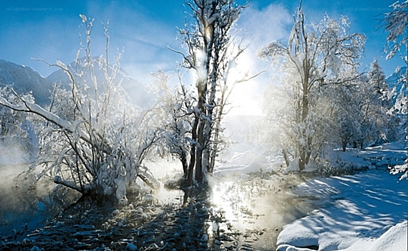 Snowy forest with steam