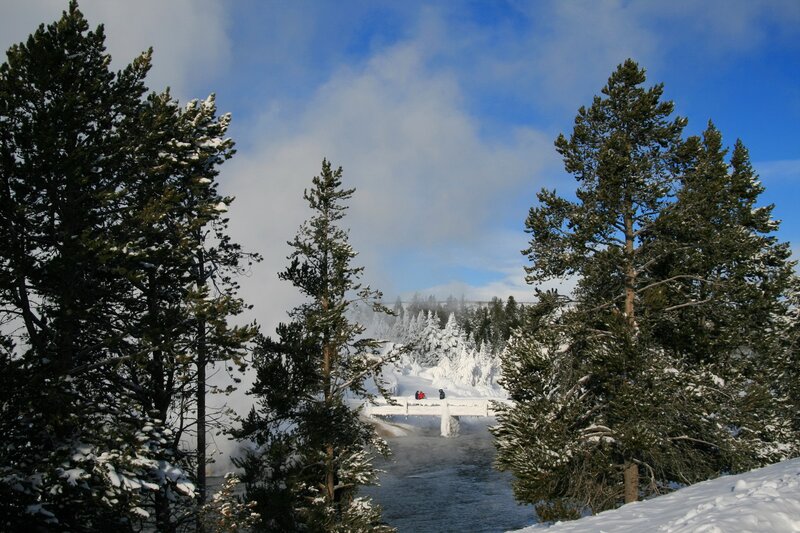 Snowy forest with steam and bridge