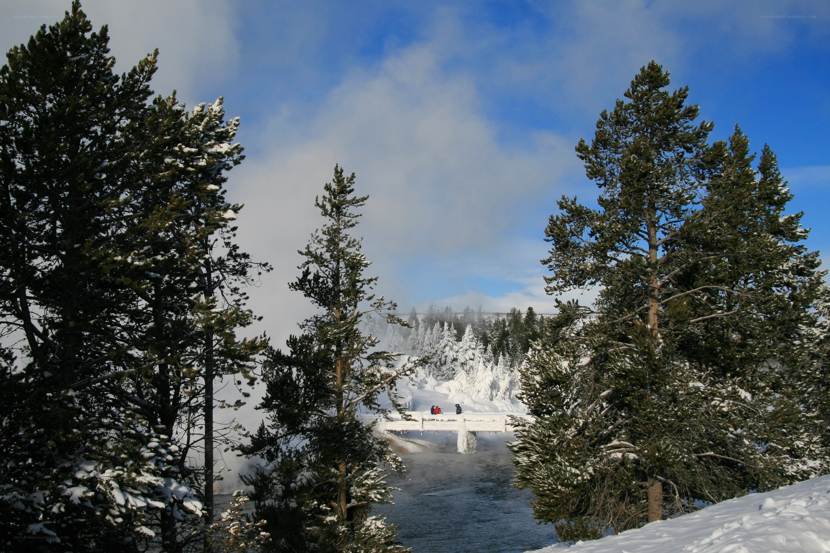 Snowy forest with steam and bridge