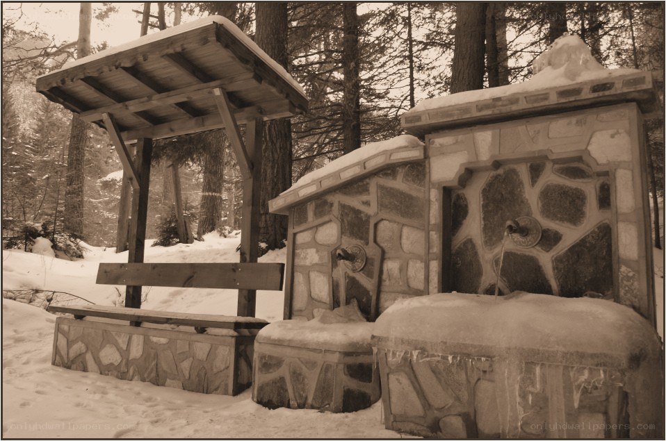 Snowy fountain in forest