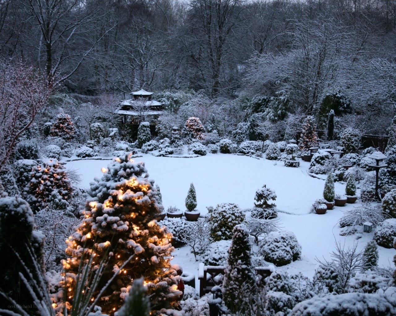 Snowy garden at dusk