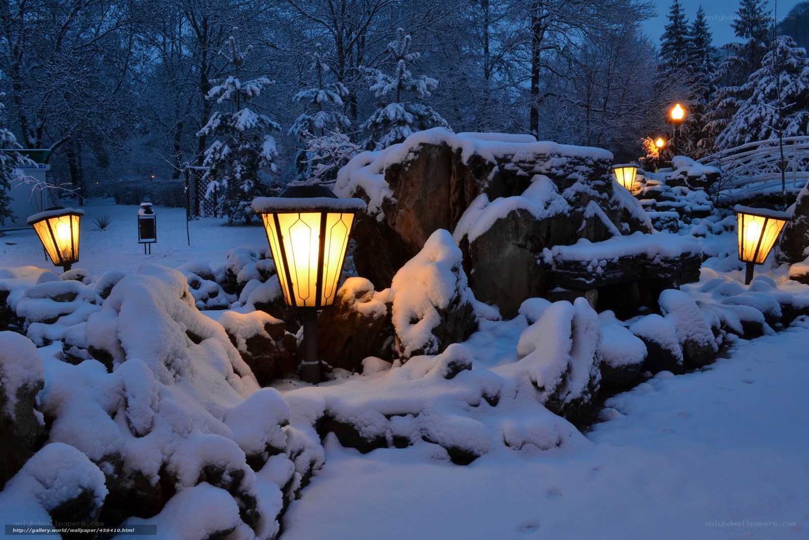 Snowy garden at night