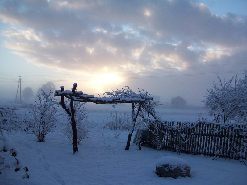 Snowy garden at sunrise