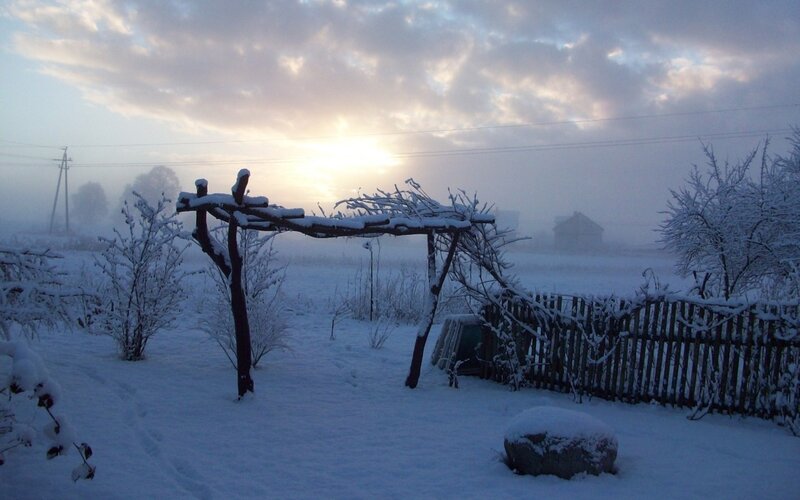 Snowy garden at sunrise