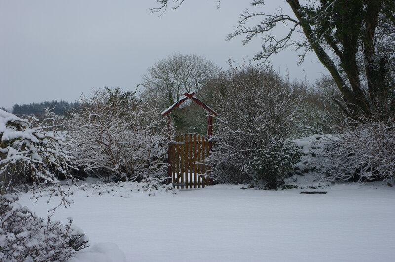 Snowy garden gate