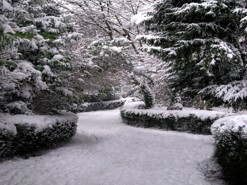 Snowy garden path