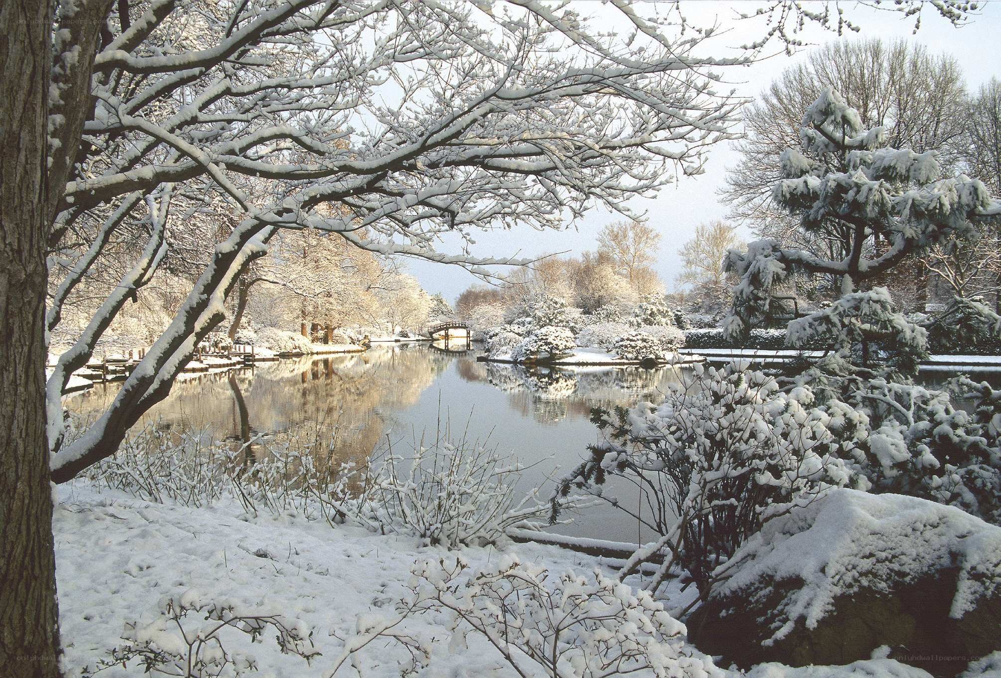 Snowy garden pond scene