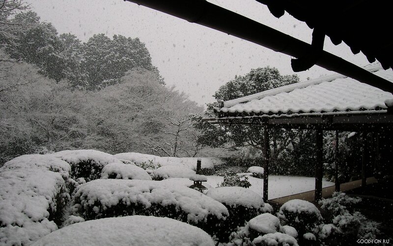 Snowy garden scene