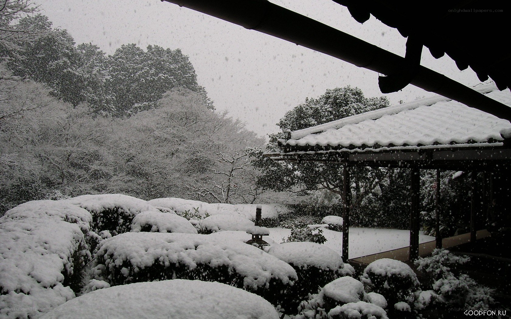 Snowy garden scene