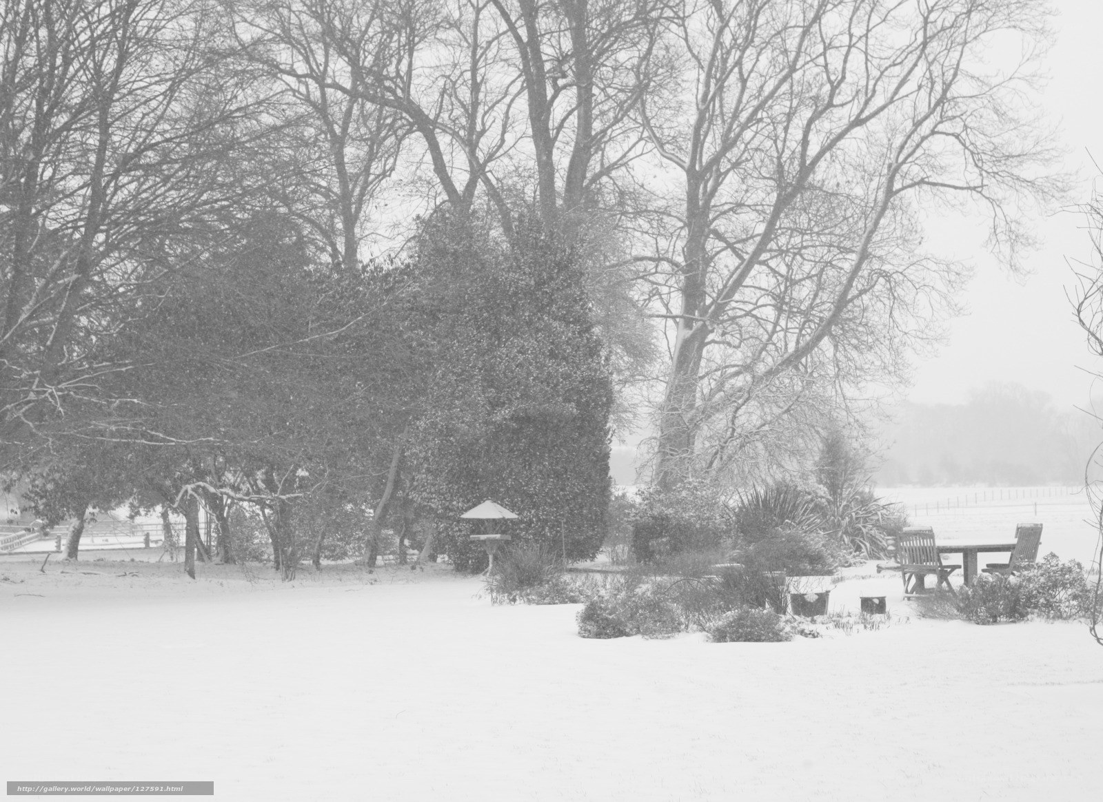 Snowy garden scene