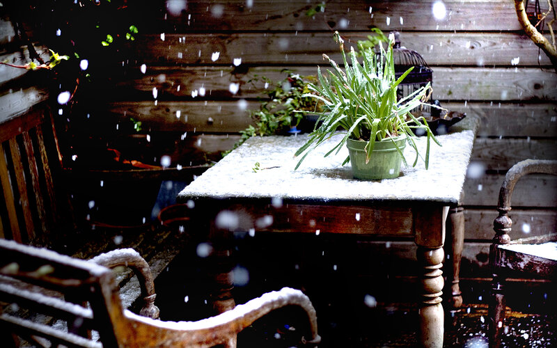 Snowy garden table scene