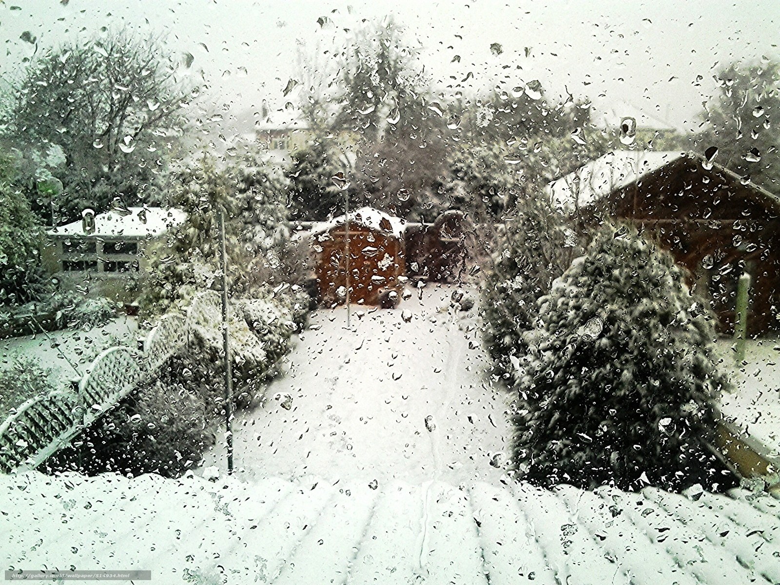 snowy garden view from window