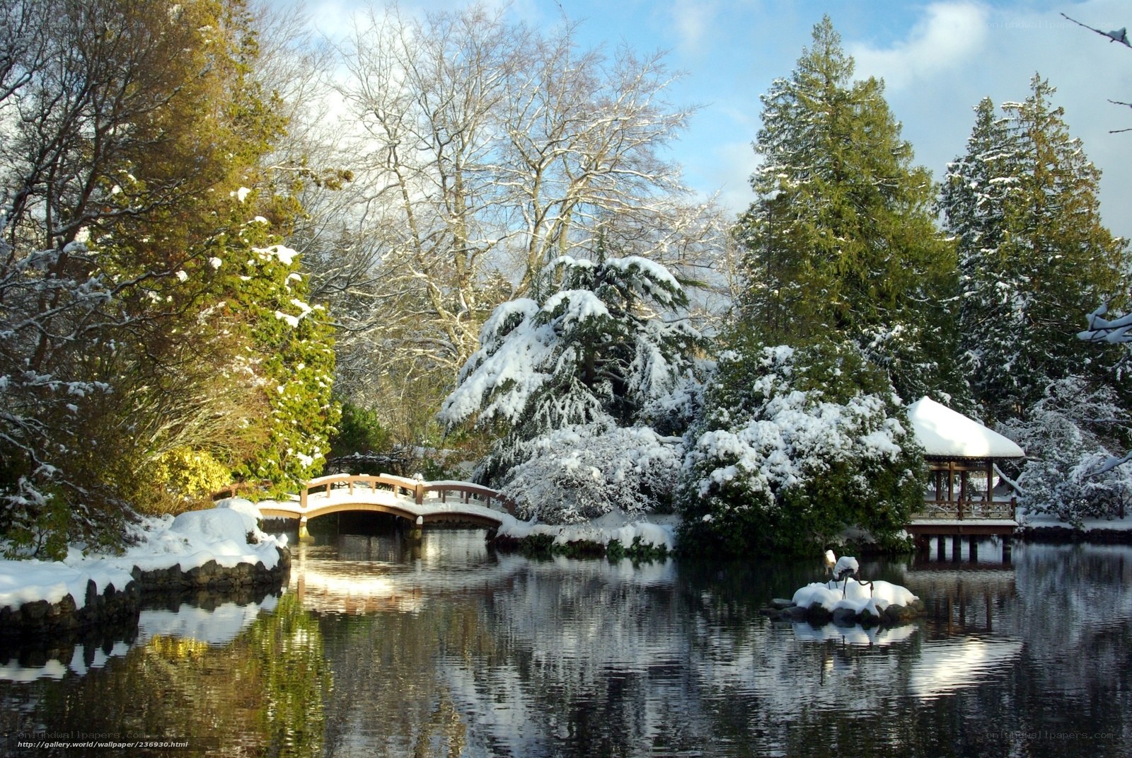 Snowy garden with bridge and pond
