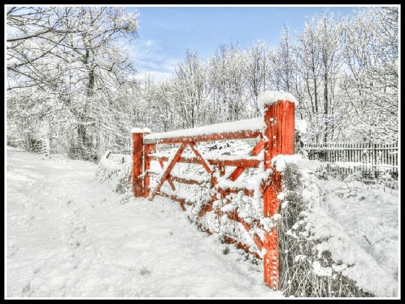 Snowy gate in winter landscape