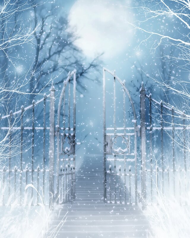 Snowy gate to a winter wonderland