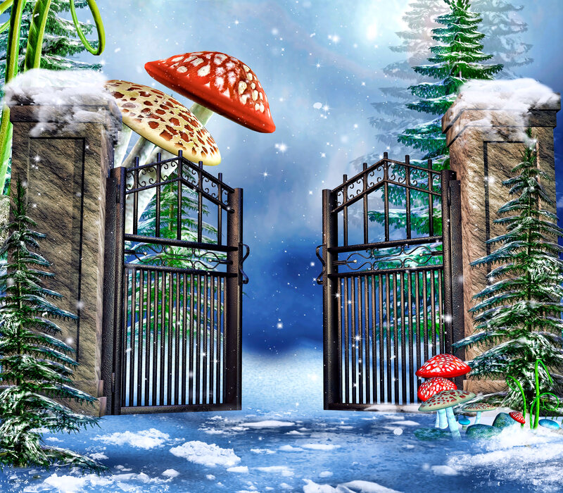 Snowy Gate with Mushrooms