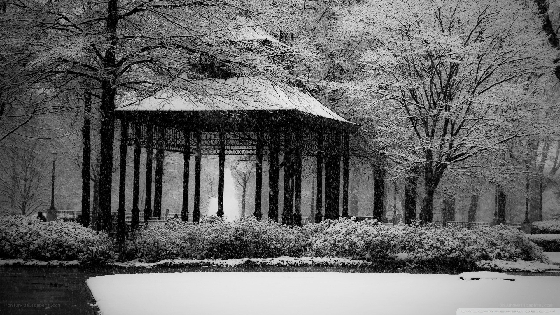 Snowy gazebo in winter park