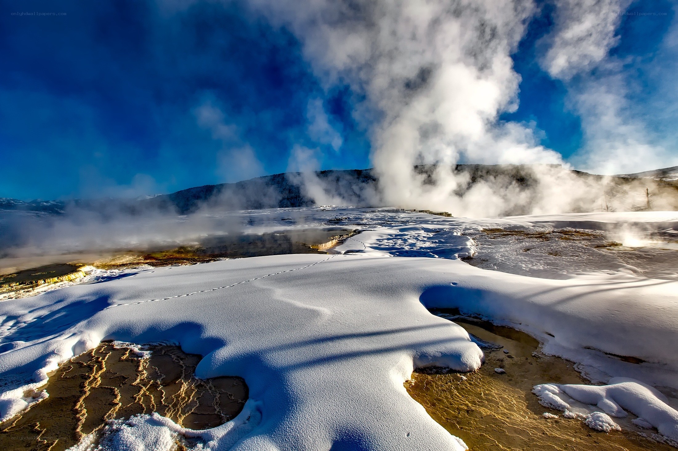 Snowy geothermal landscape