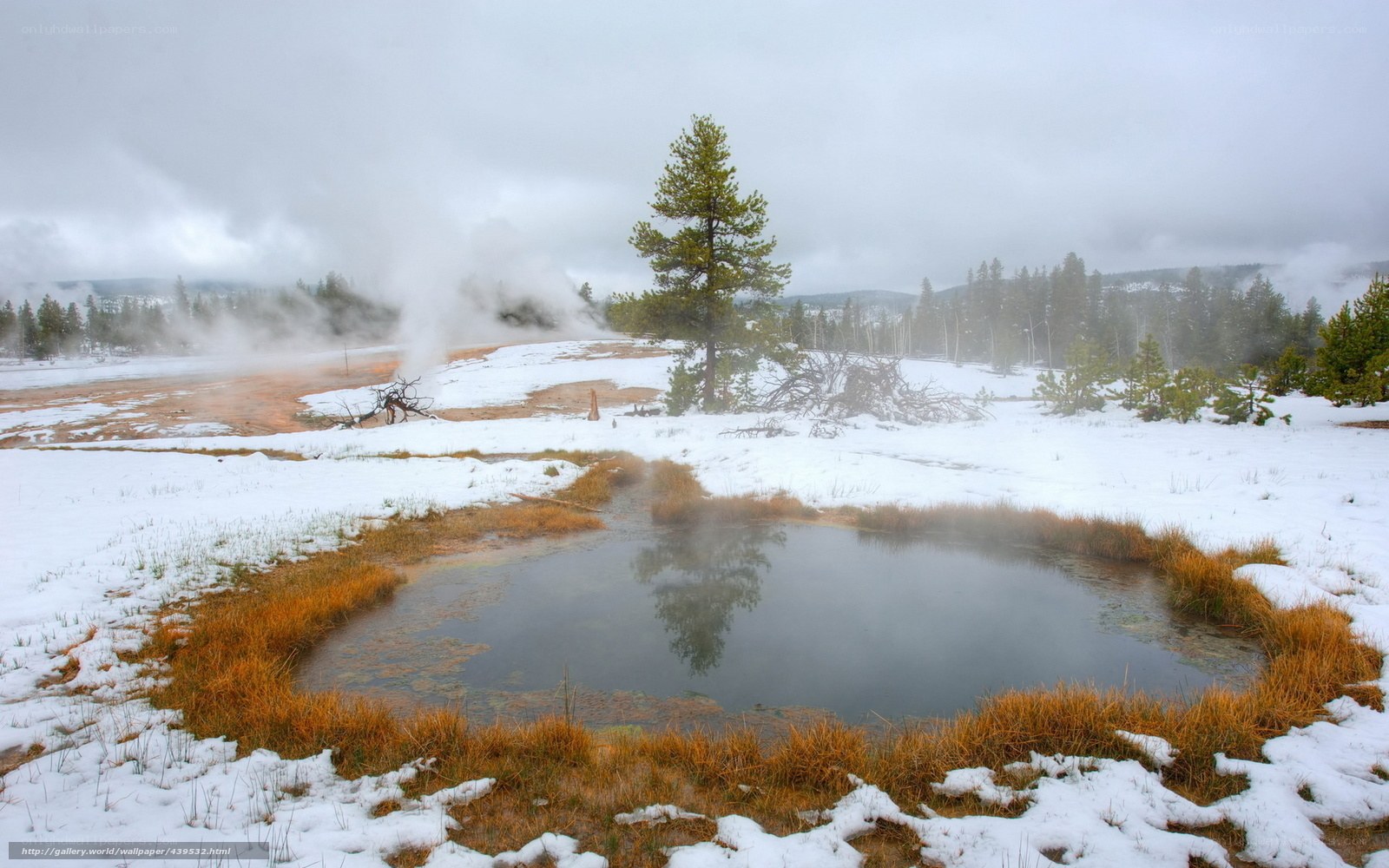 Snowy geothermal landscape