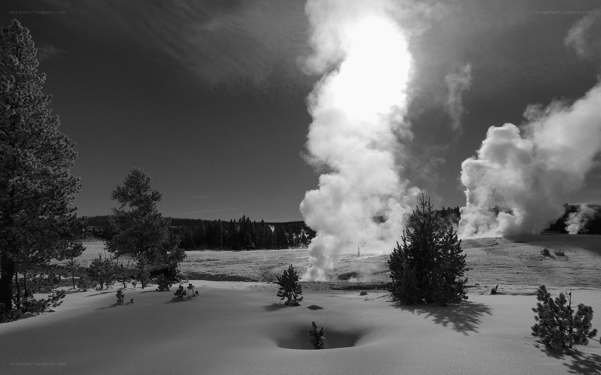 Snowy geyser eruption