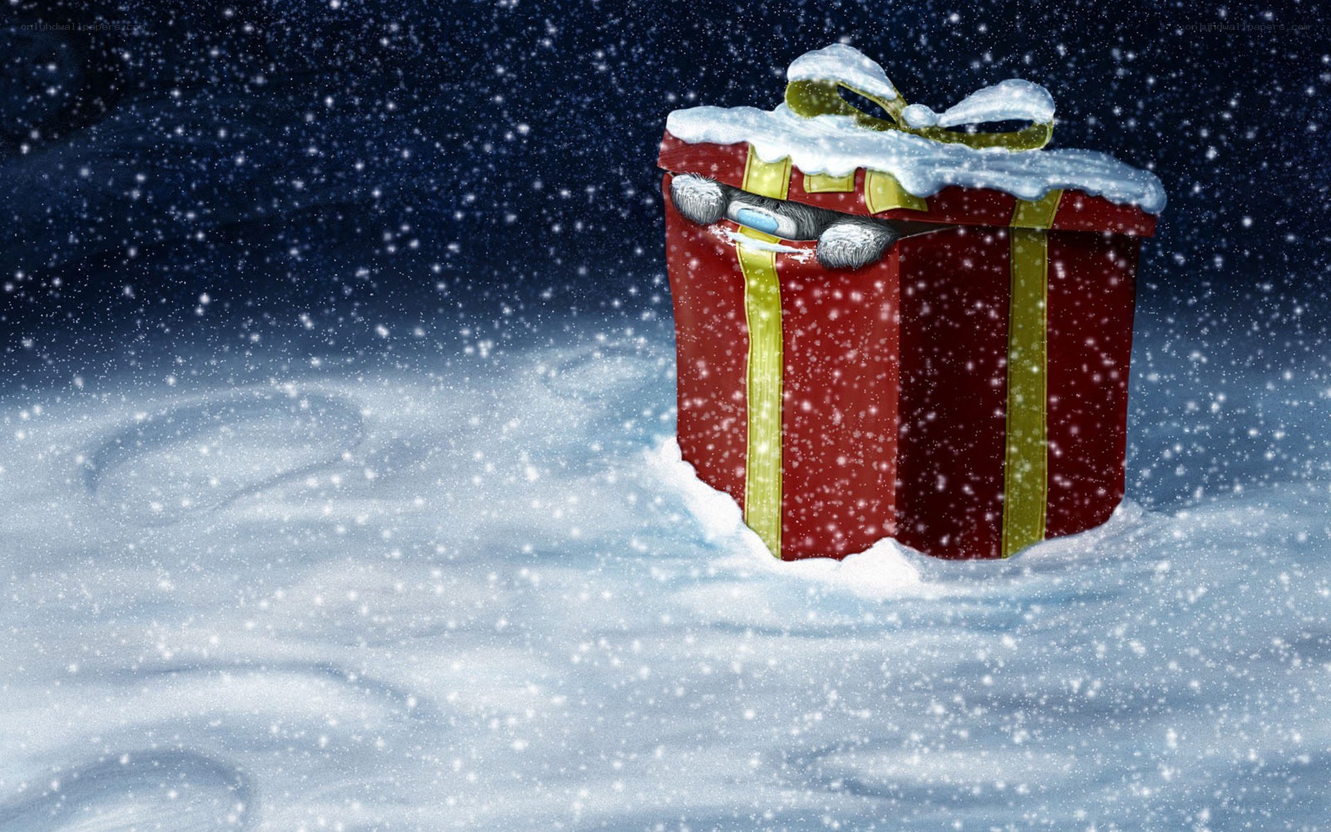 Snowy gift box with teddy bear