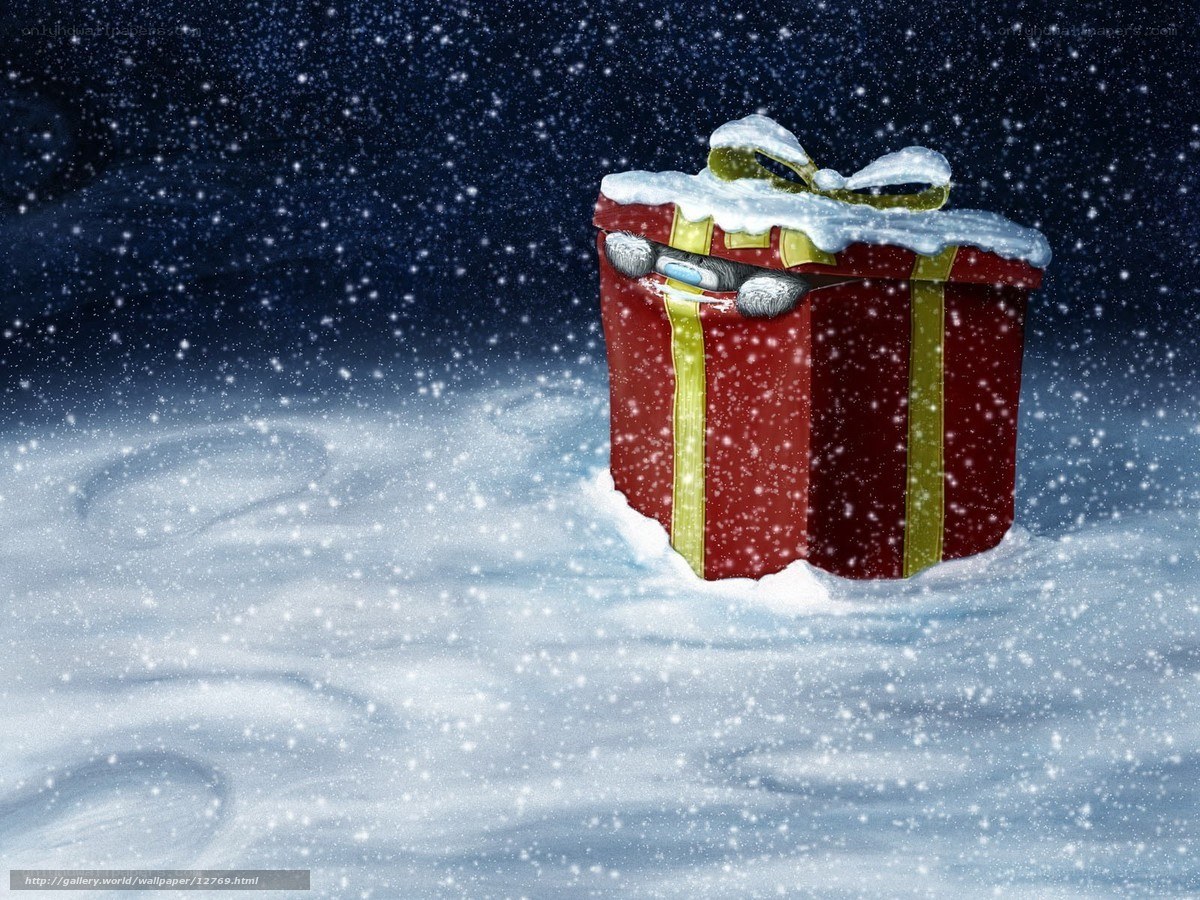 Snowy gift box with teddy bear