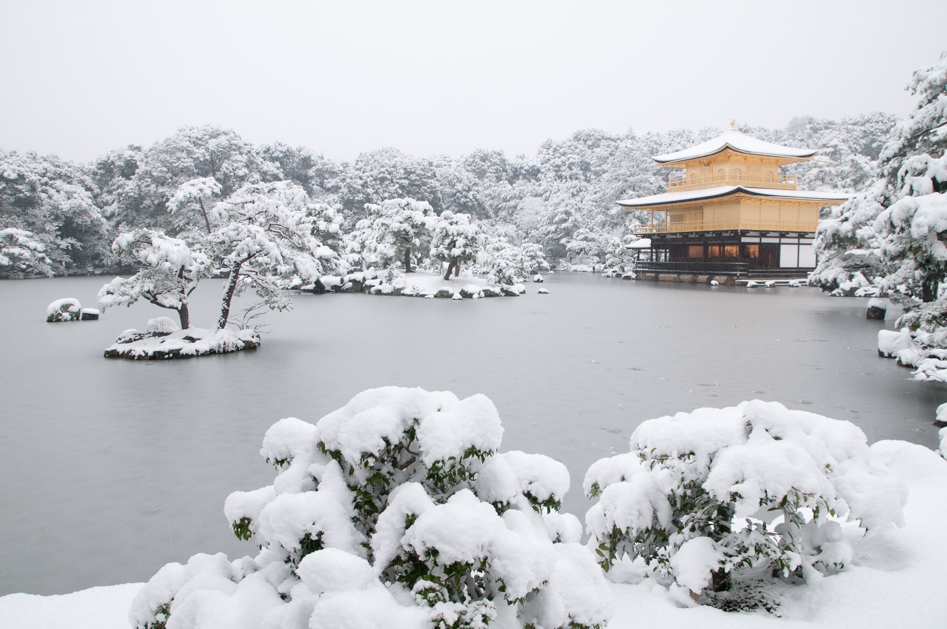 Snowy Golden Pavilion