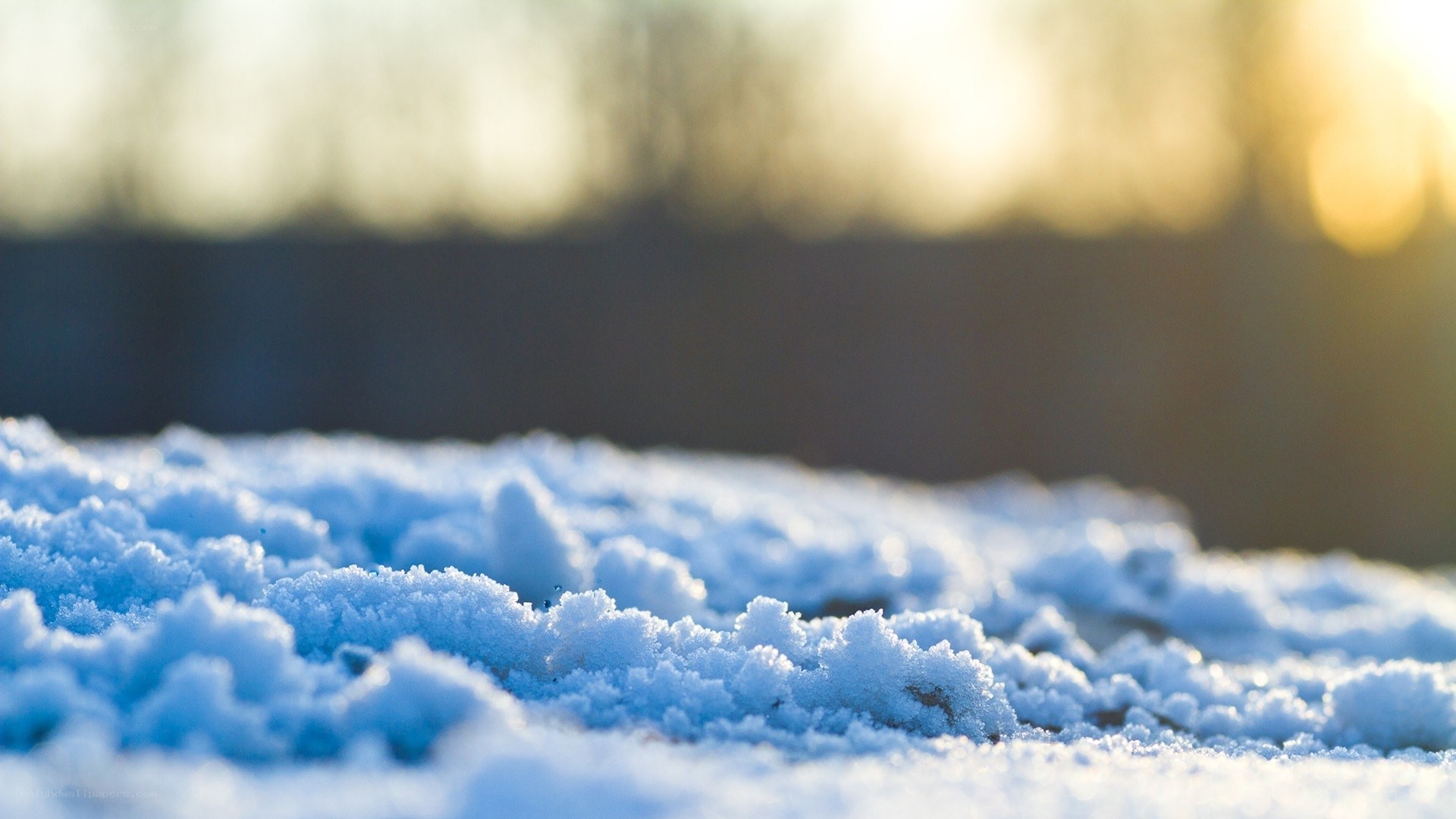Snowy ground at sunset