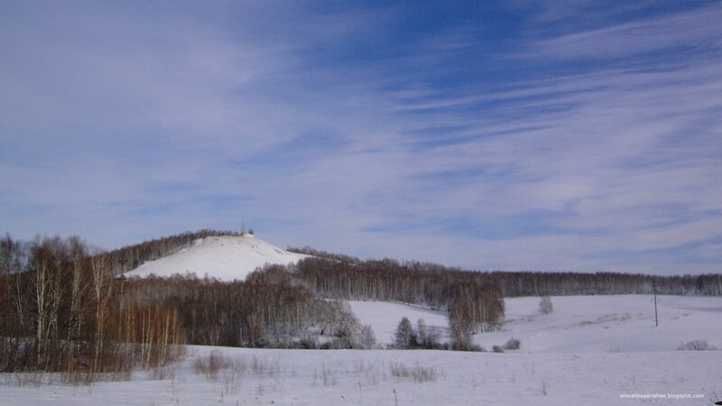 Snowy hill with forest