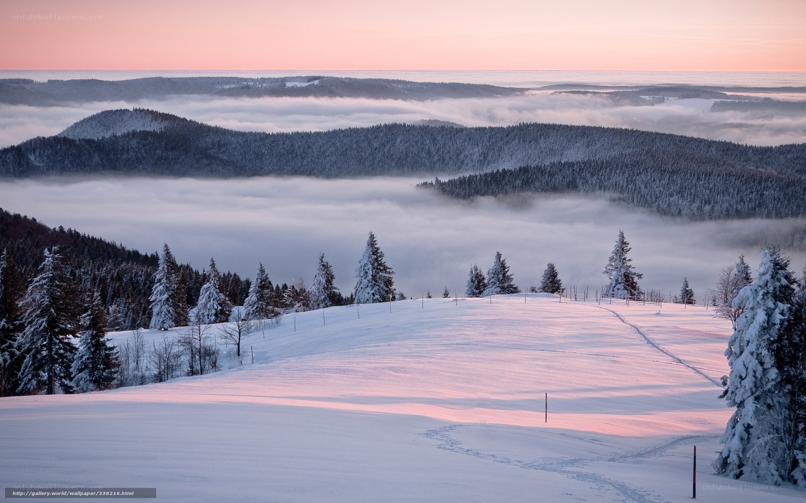 Snowy hills at dawn