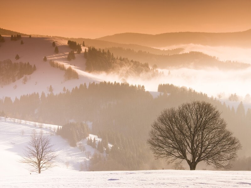 Snowy hills at sunrise