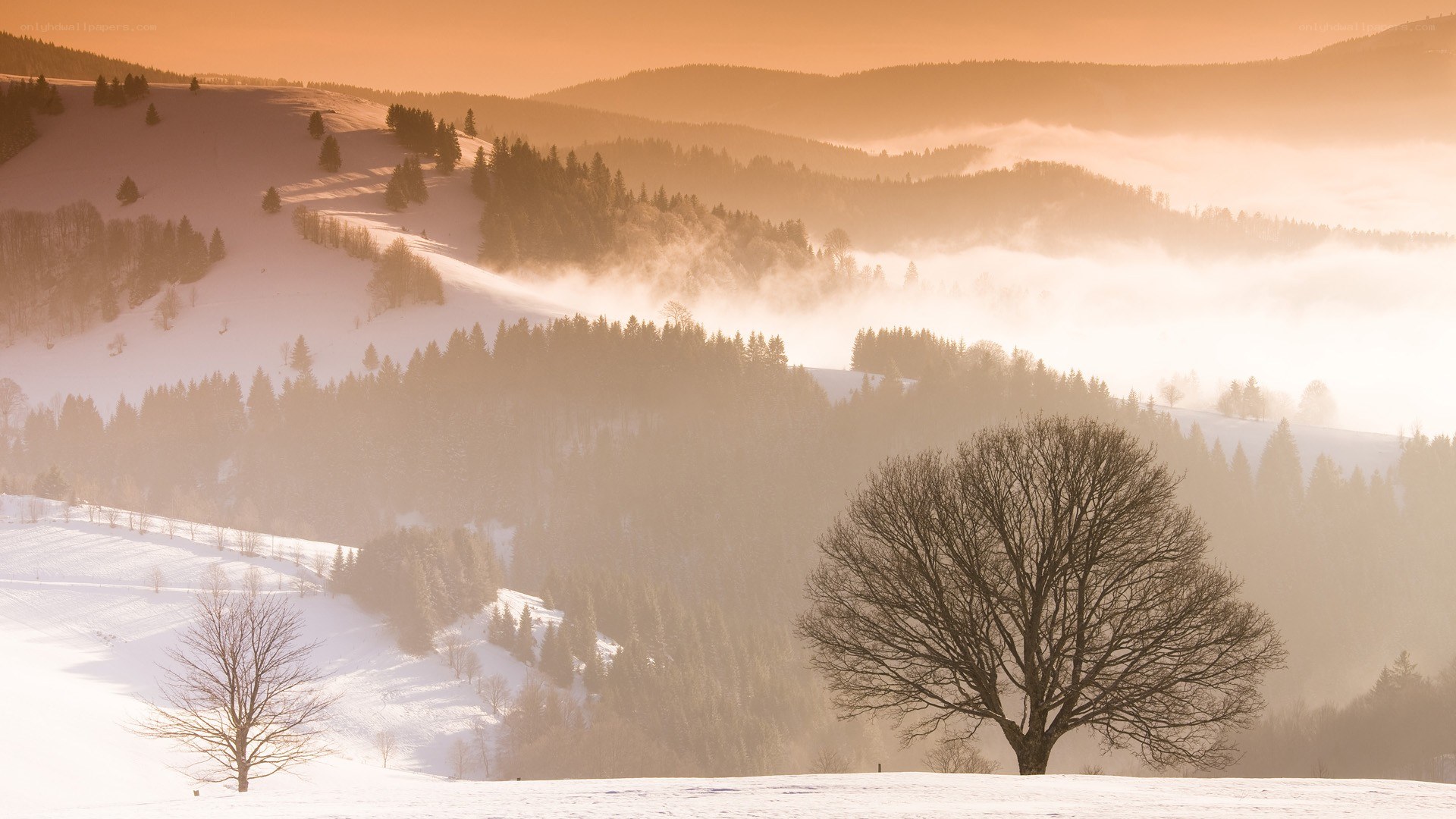Snowy hills at sunrise
