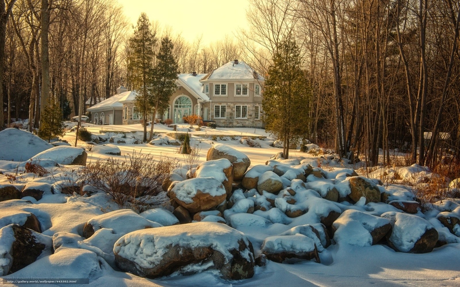 Snowy house in forest