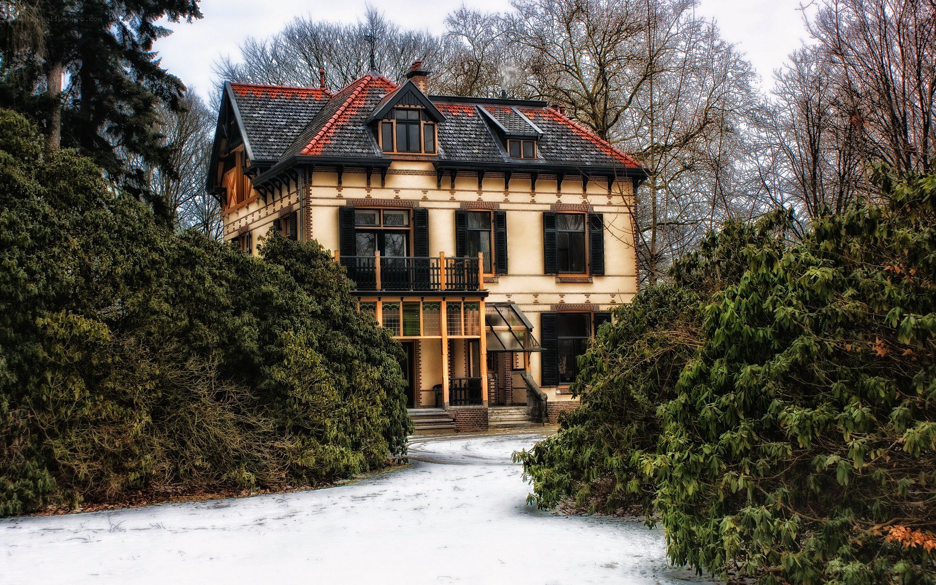 snowy house in winter