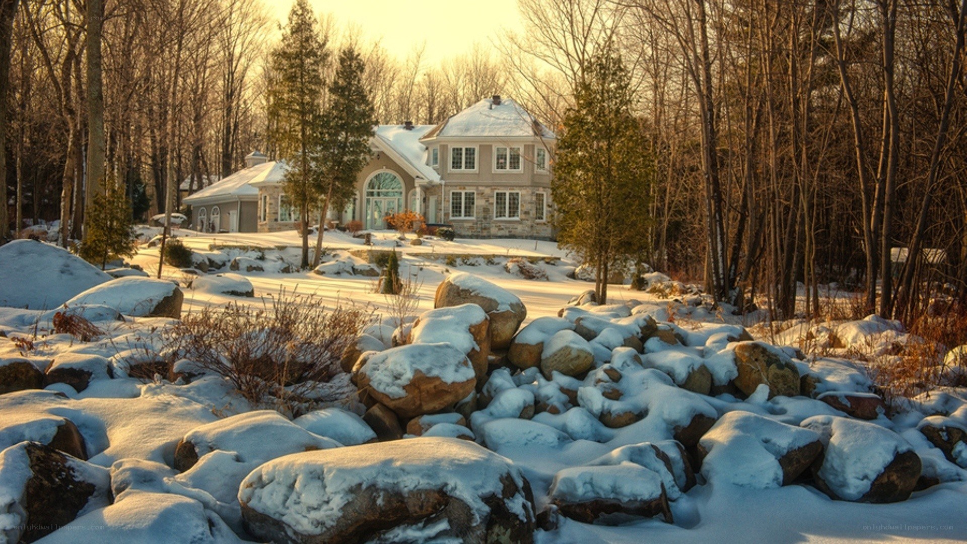 Snowy house in winter forest