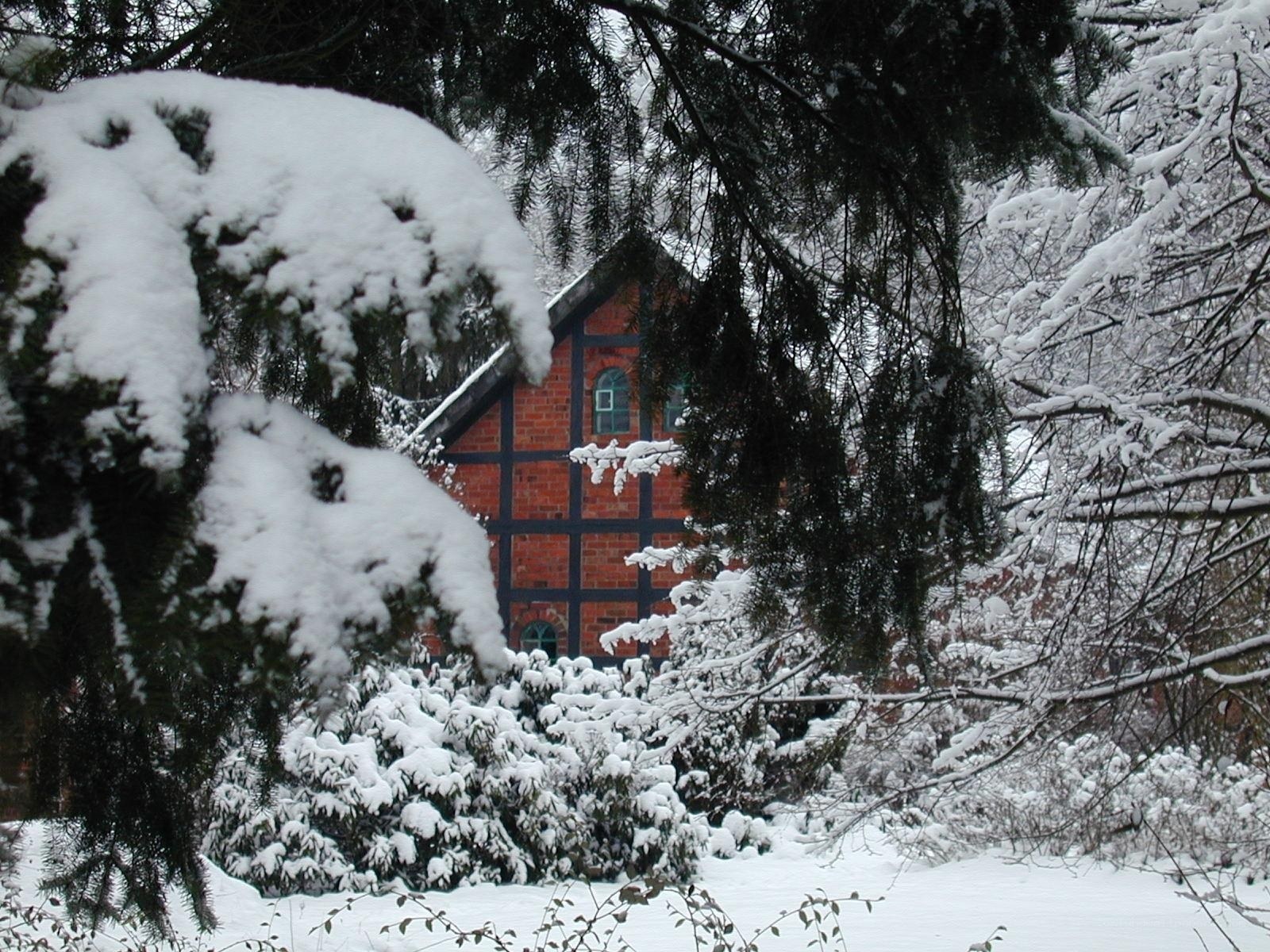 Snowy house in winter forest