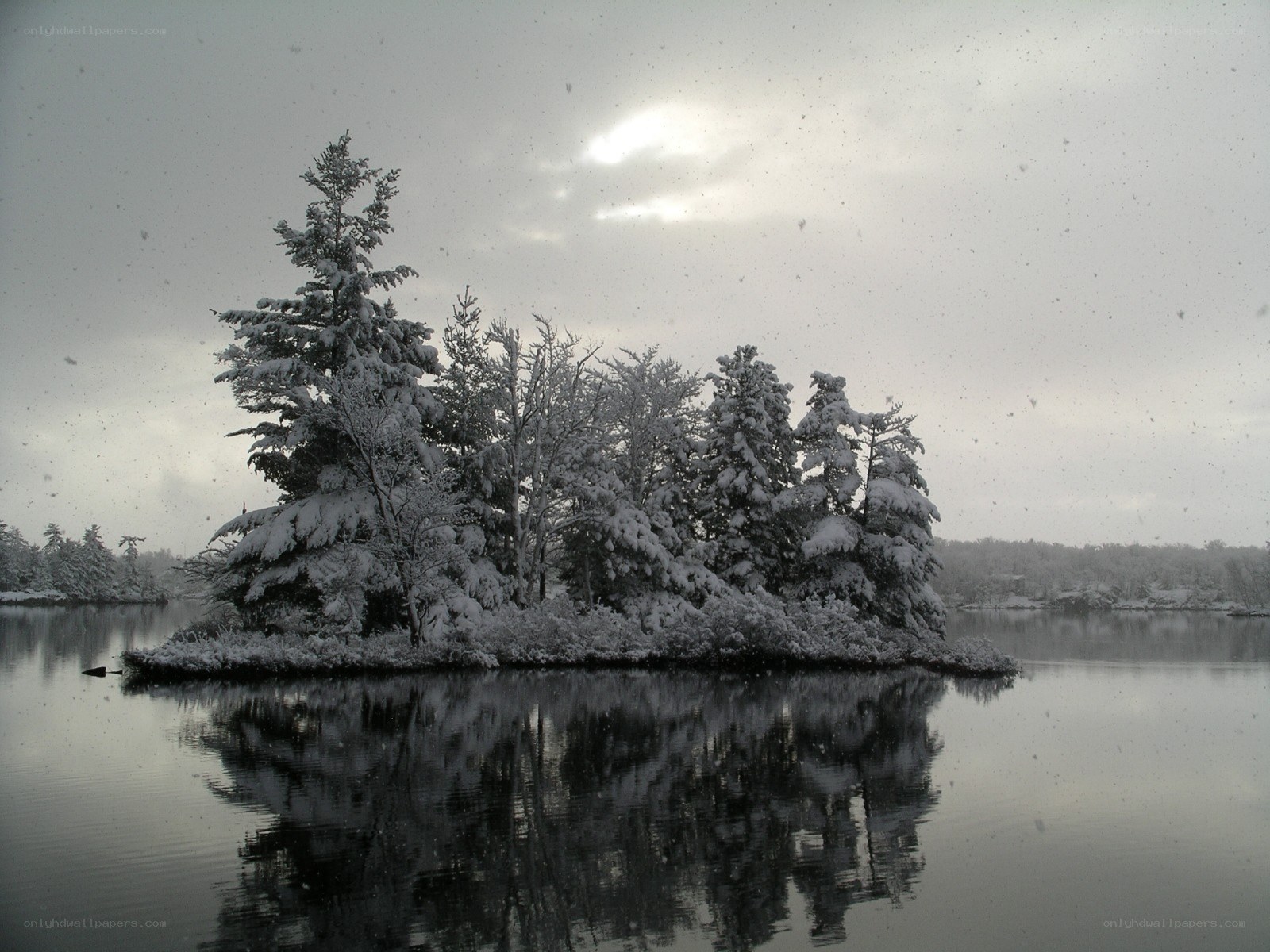 Snowy island in winter