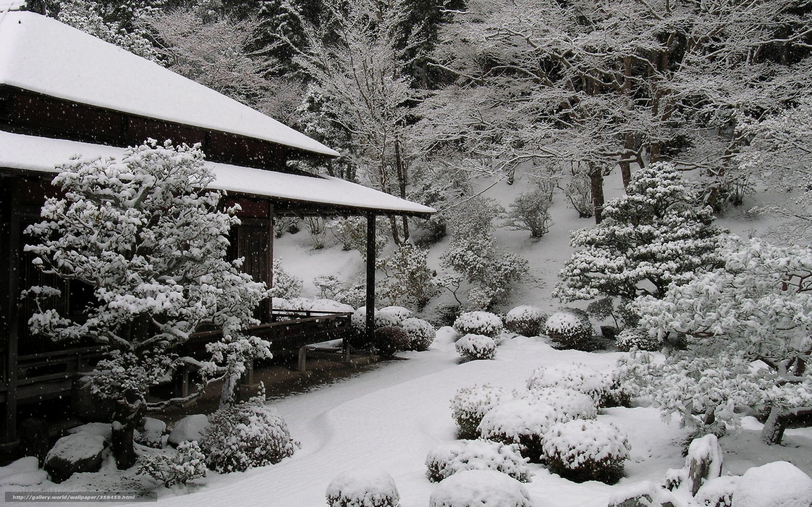 Snowy Japanese garden