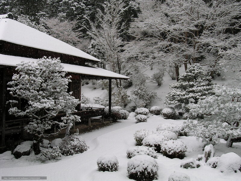 Snowy Japanese garden