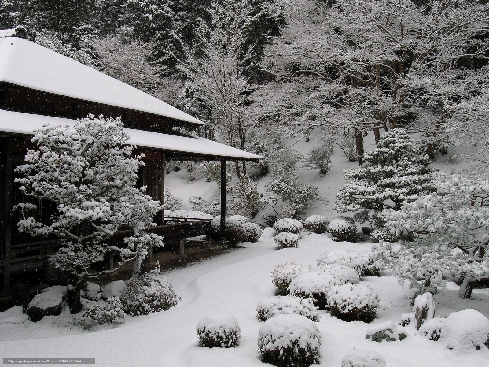 Snowy Japanese garden