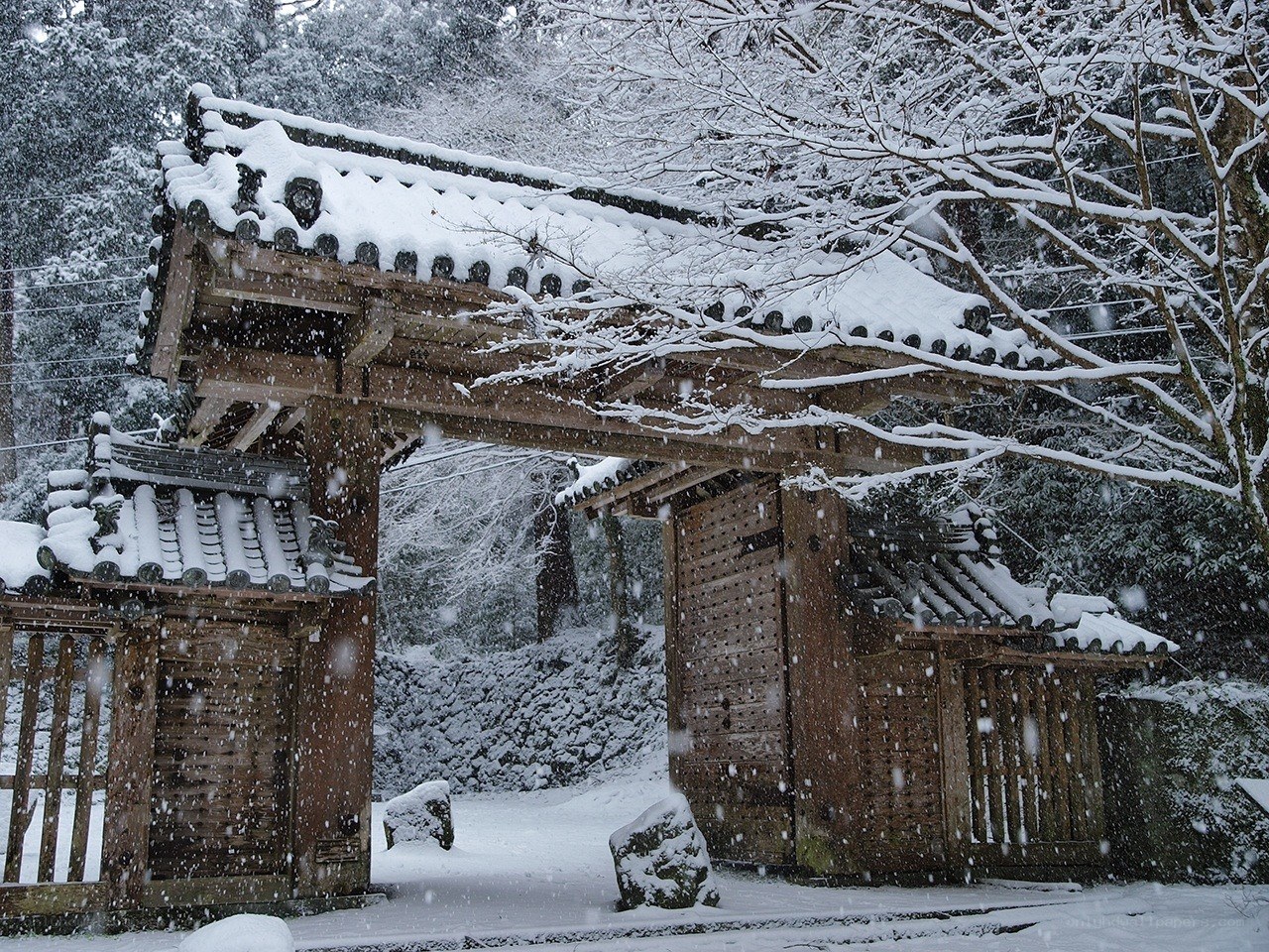 Snowy Japanese gate