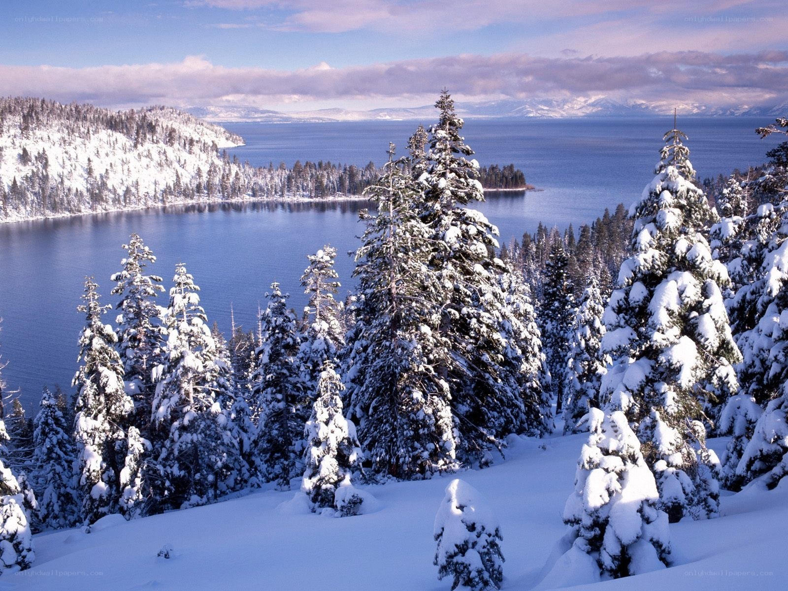 Snowy lake and forest landscape