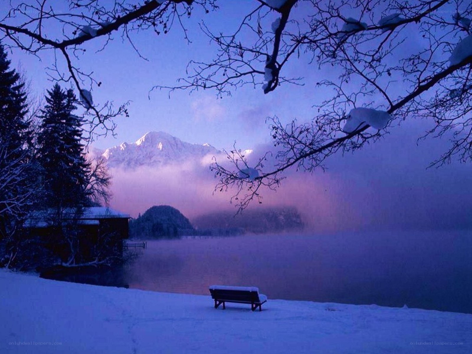 Snowy lake at dawn