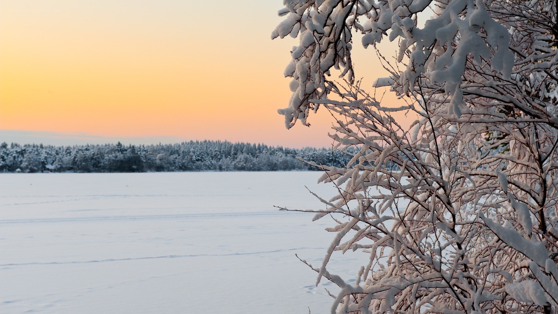 Snowy lake at sunset