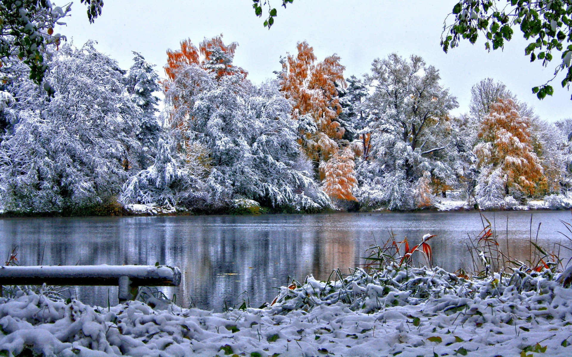 Snowy lake in autumn