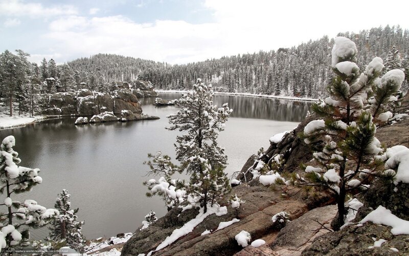 Snowy lake in forest