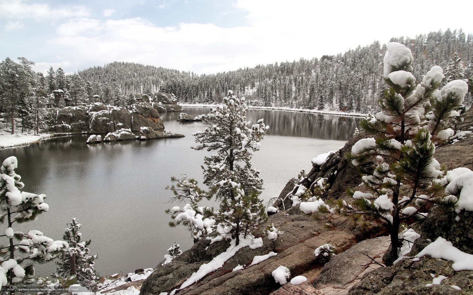Snowy lake in forest