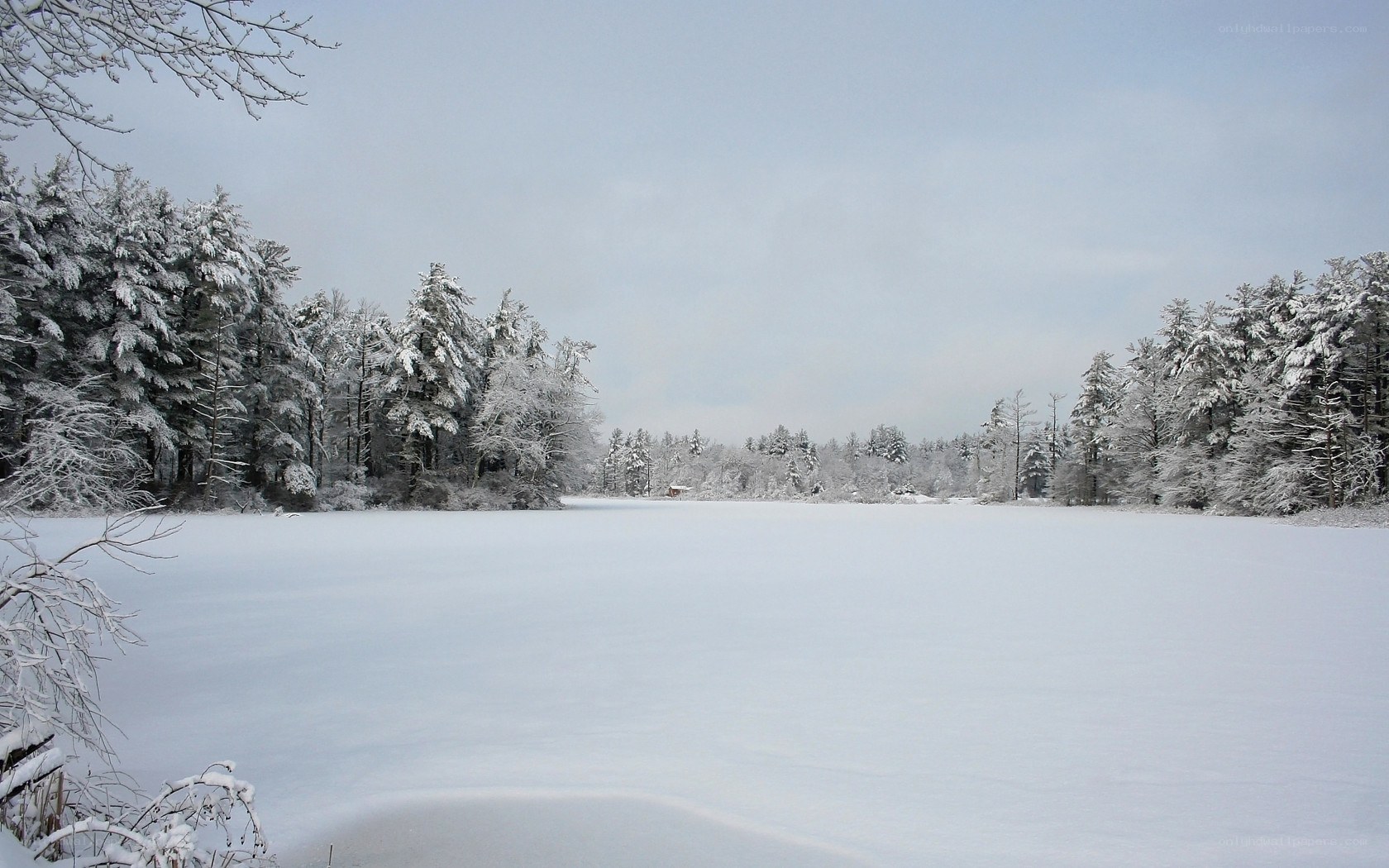 Snowy lake in winter