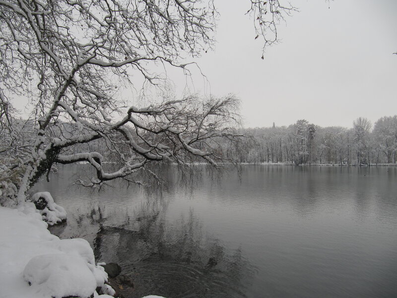 Snowy lake in winter