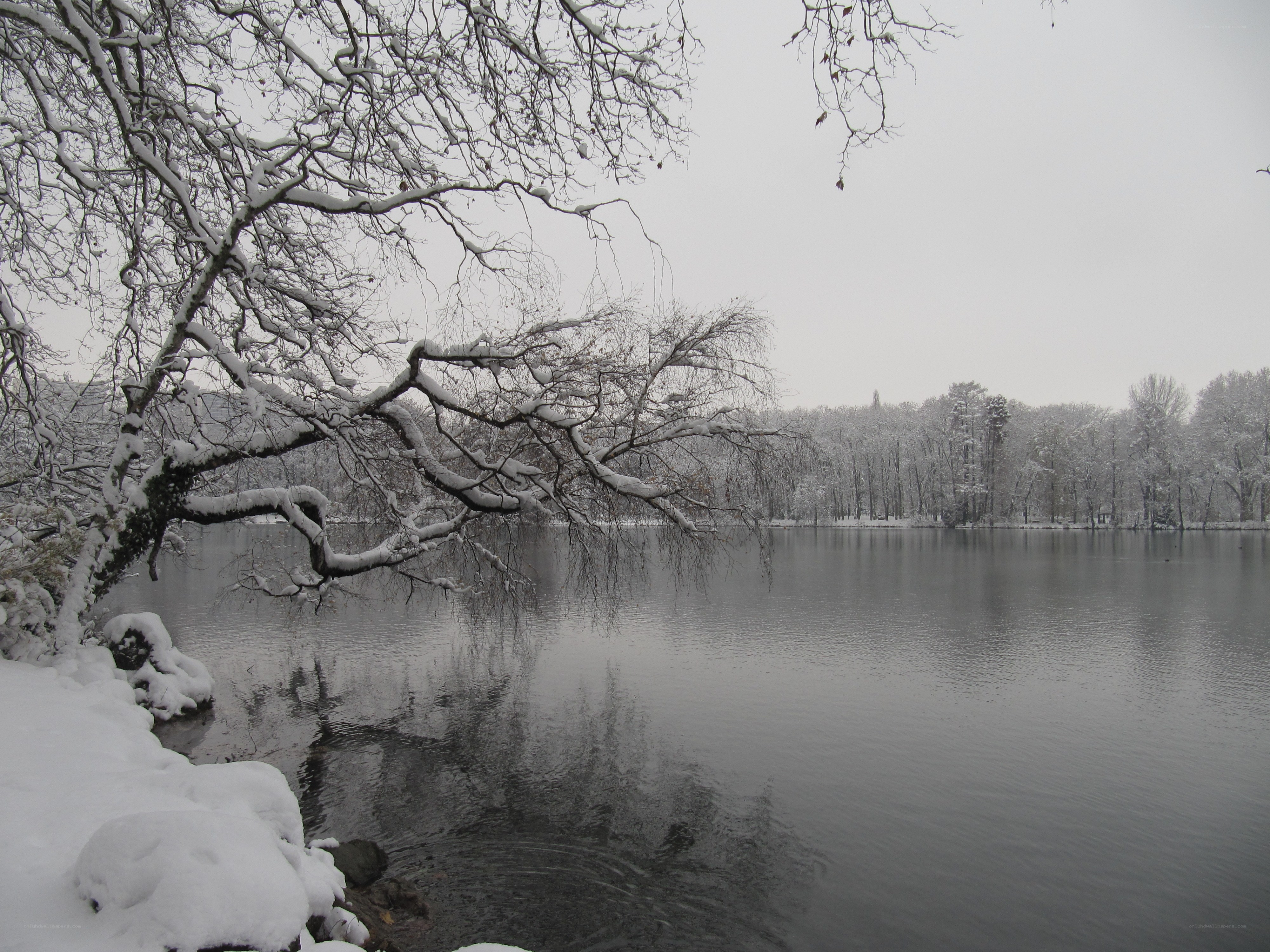 Snowy lake in winter